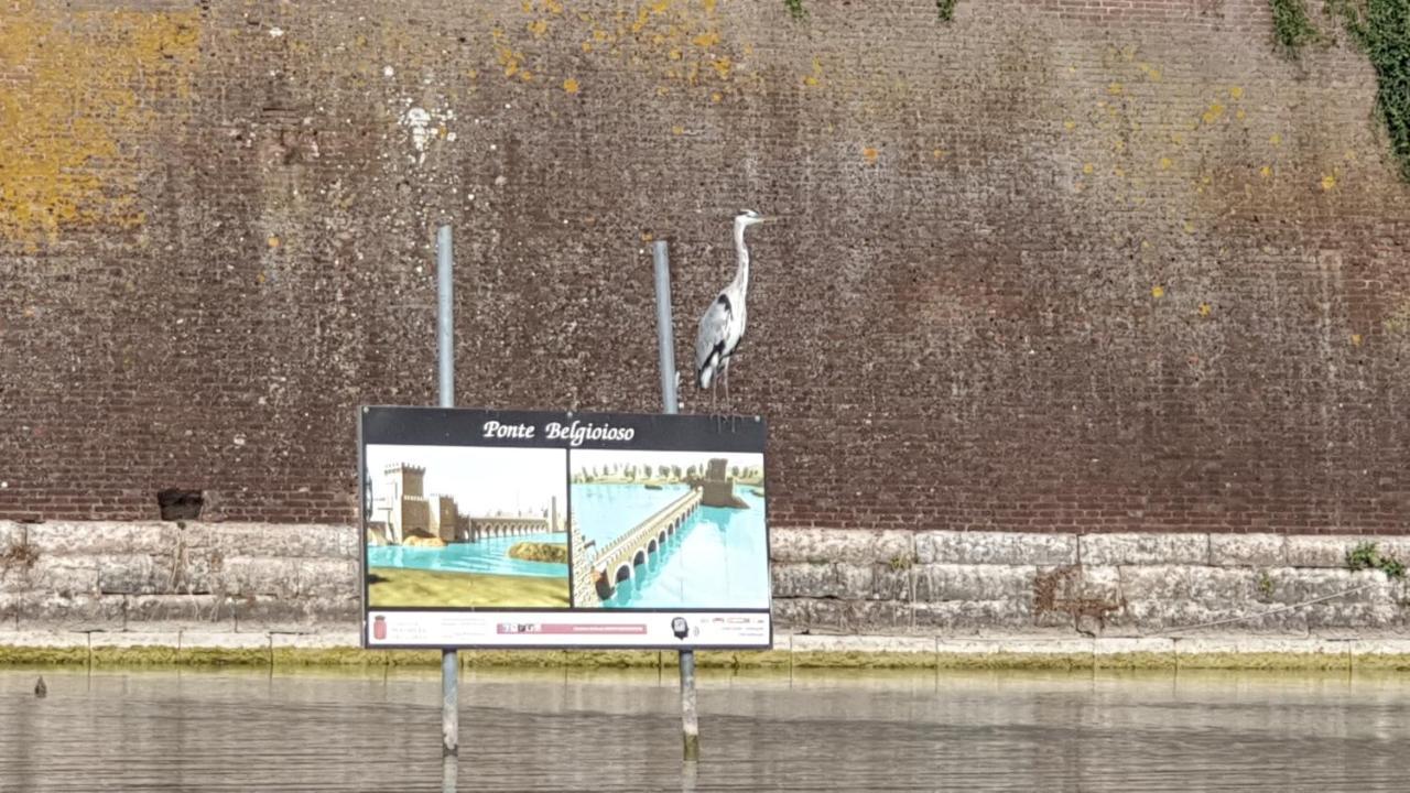 Casa Vacanza & Suite Joy Peschiera del Garda Kültér fotó